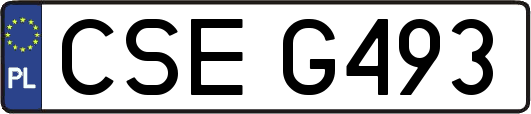 CSEG493