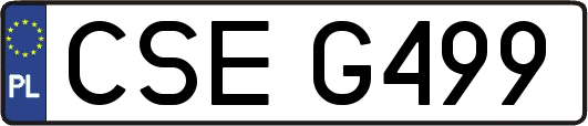 CSEG499