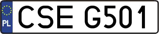 CSEG501