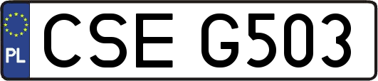 CSEG503