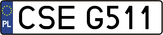 CSEG511