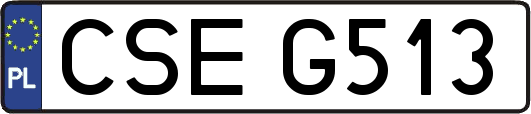 CSEG513