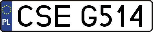 CSEG514