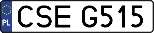 CSEG515