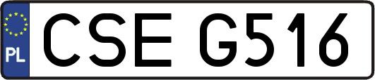CSEG516