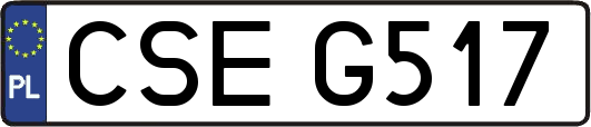 CSEG517