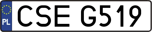 CSEG519