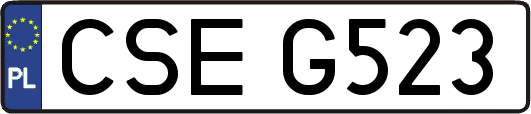 CSEG523
