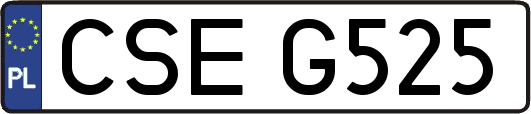 CSEG525