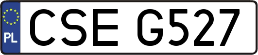 CSEG527