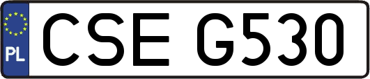 CSEG530