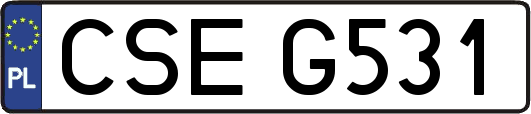 CSEG531