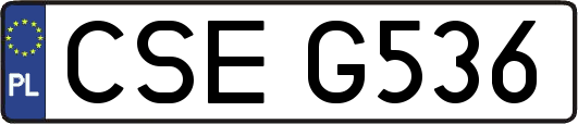 CSEG536