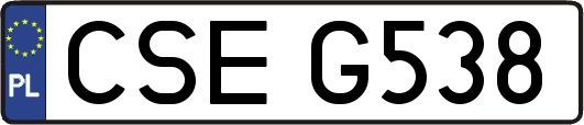 CSEG538