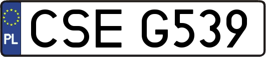 CSEG539