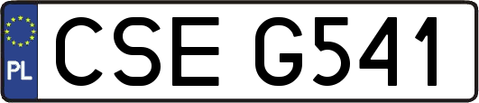 CSEG541