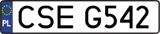 CSEG542