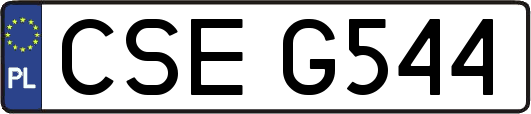 CSEG544