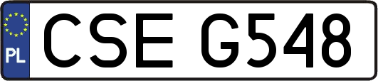CSEG548