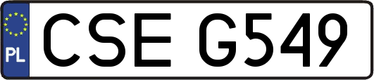 CSEG549