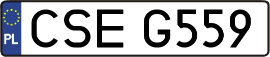 CSEG559