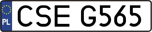 CSEG565