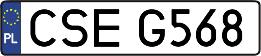 CSEG568