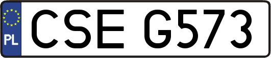 CSEG573