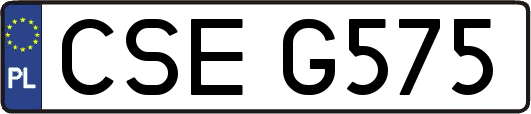 CSEG575