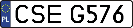 CSEG576