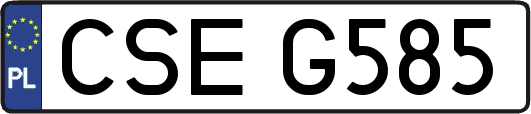 CSEG585
