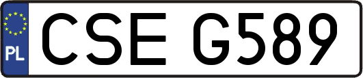 CSEG589