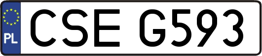 CSEG593