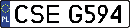 CSEG594