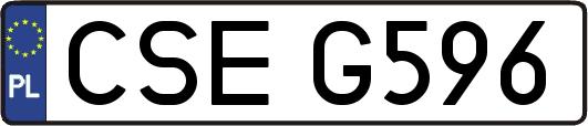 CSEG596