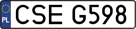 CSEG598