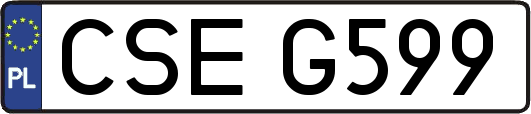 CSEG599