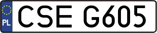 CSEG605