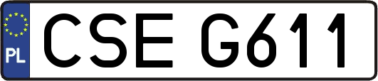 CSEG611
