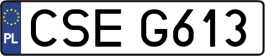 CSEG613