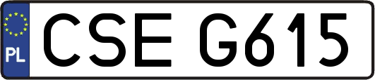 CSEG615