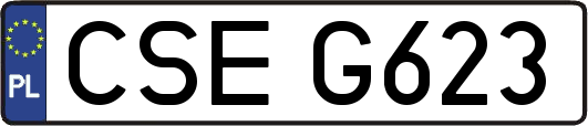 CSEG623