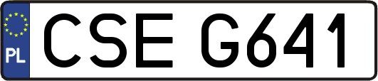 CSEG641