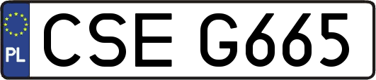 CSEG665