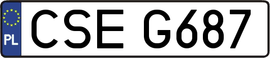 CSEG687