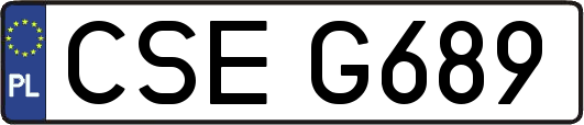 CSEG689