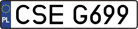 CSEG699