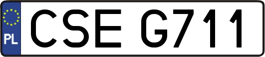 CSEG711