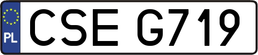 CSEG719