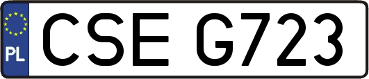 CSEG723